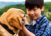 映画『少年と犬』原作：馳 星周
