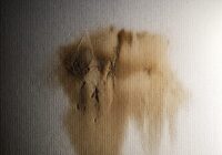 壁のシミが囁く