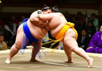大相撲結果