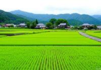 新潟 天気