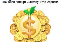 高金利！SBJ銀行外貨定期預金