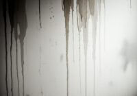 壁の染みと囁き声