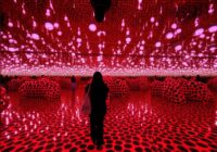 草間彌生展、心を揺さぶる無限の世界へ