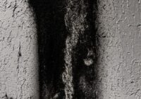 壁のシミ、消えない訪問者