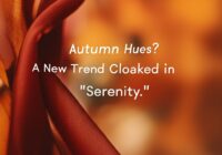 秋色？「静寂」まとう新トレンド