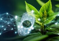 量子コンピューティング、エッジAI、持続可能なテクノロジー